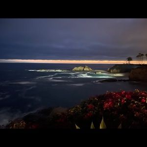 Meet your Posher, Sonia